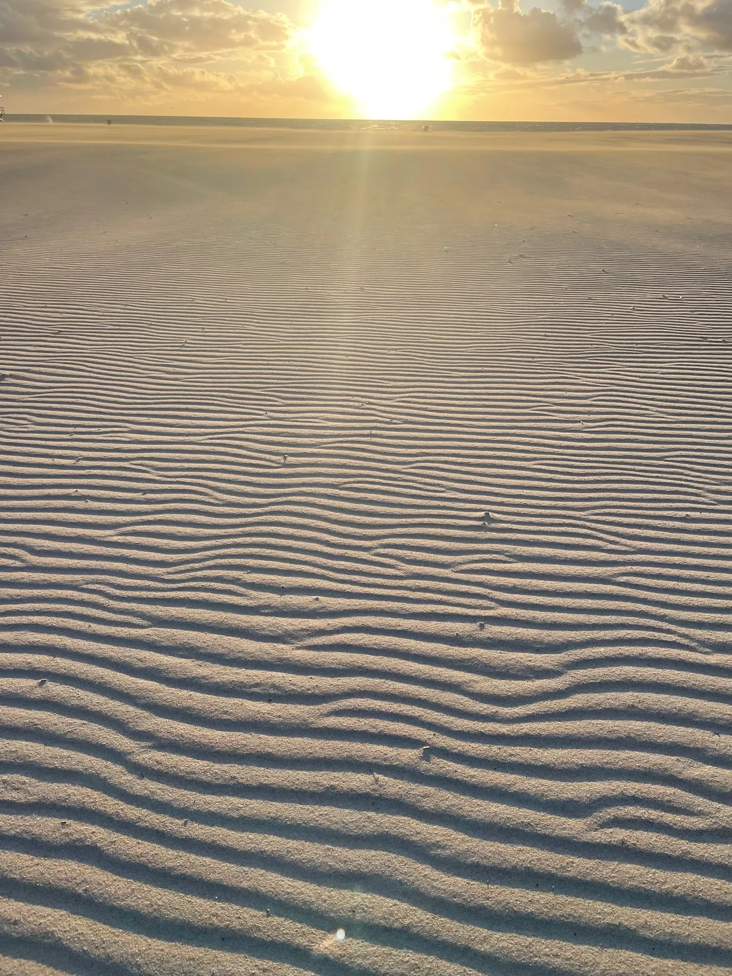 Fine ripples in the sand catch the last light of day.
