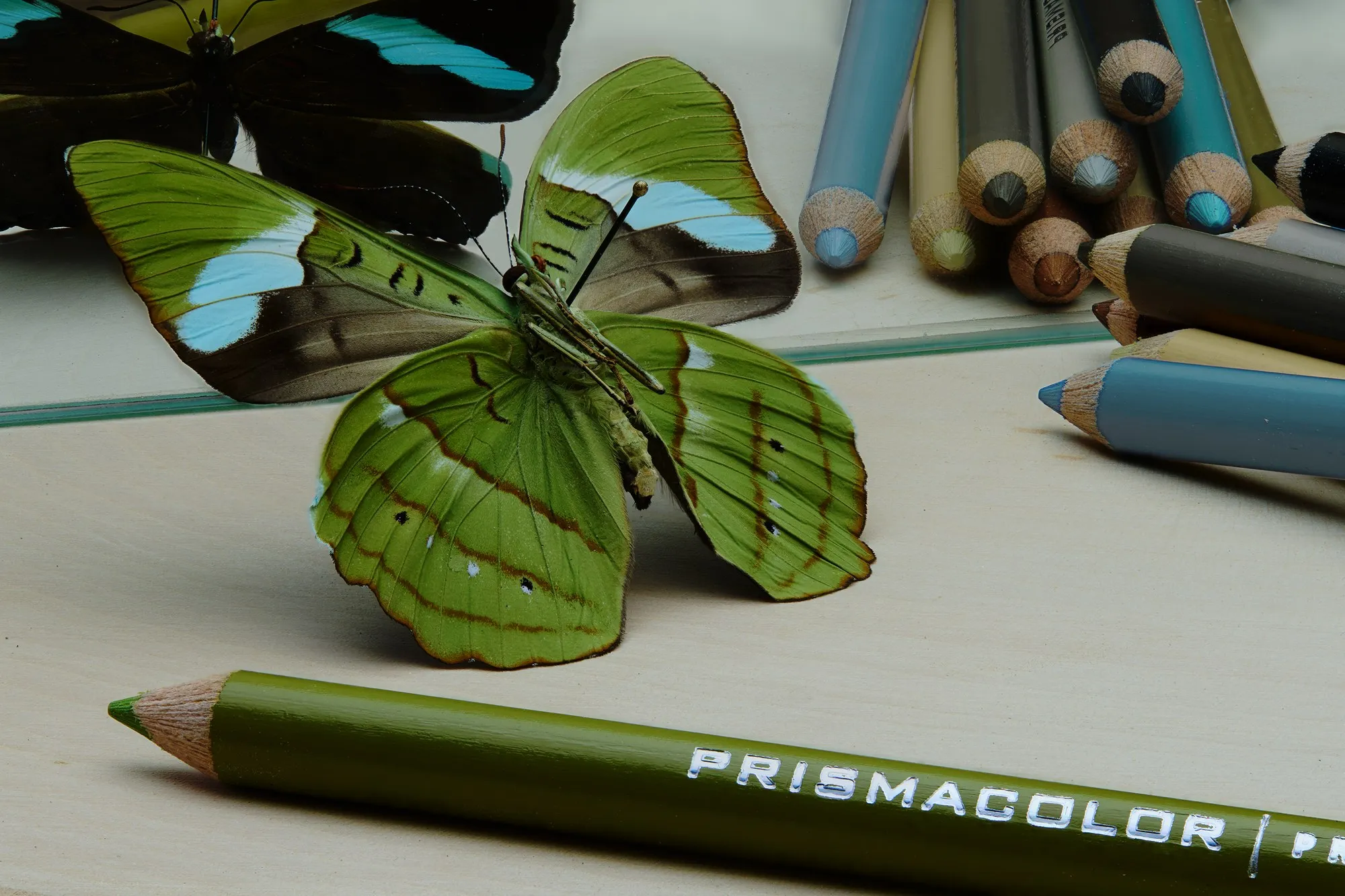 A green leaf rests across a green colored pencil beside other pencils.