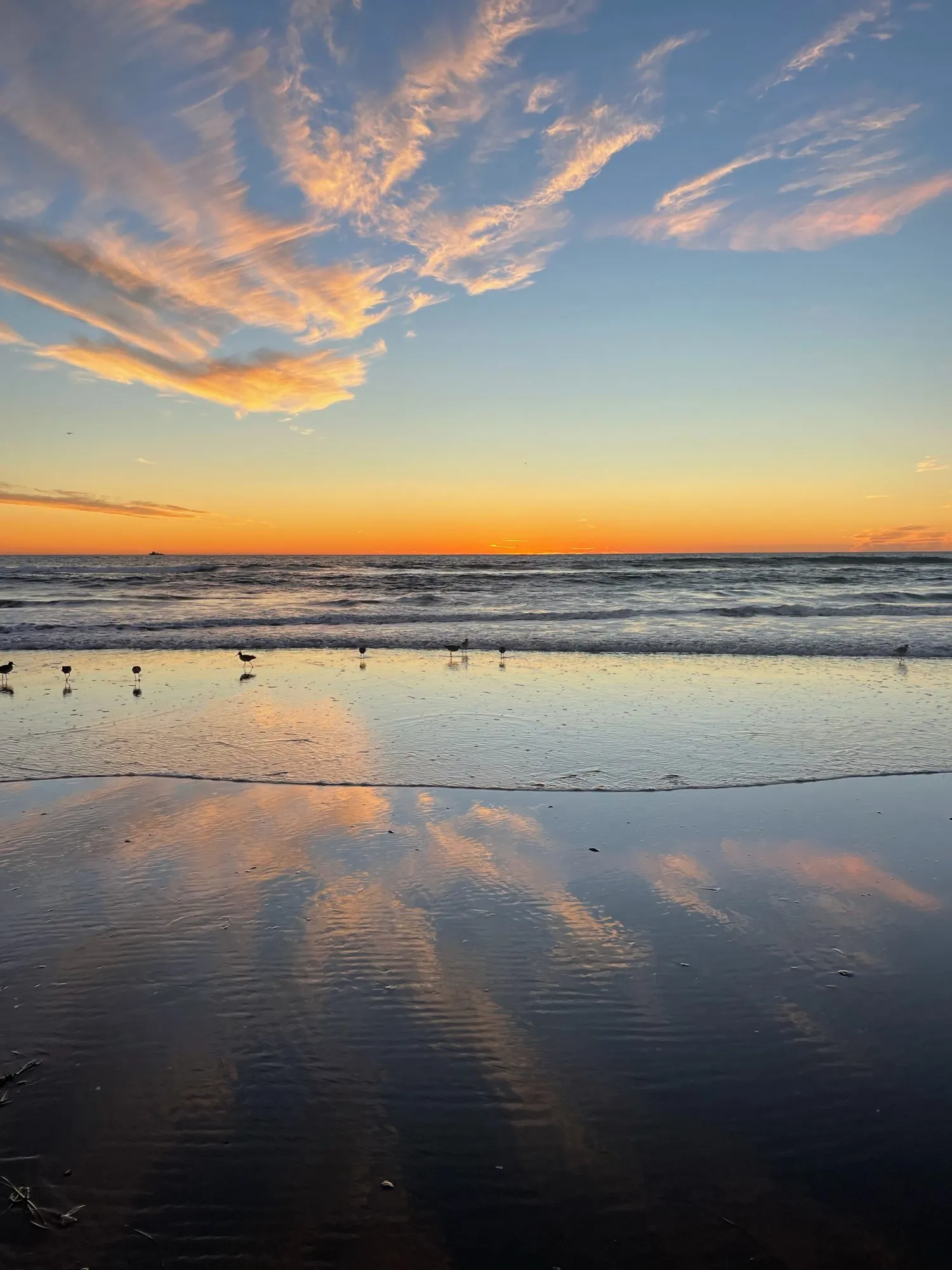 Clouds and sunset colors mirrored in shallow beach water