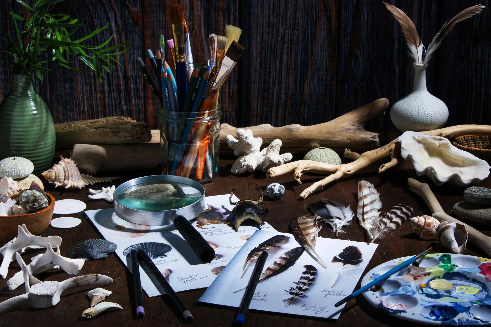 Natural objects and drawing materials are arranged across a studio worktable.