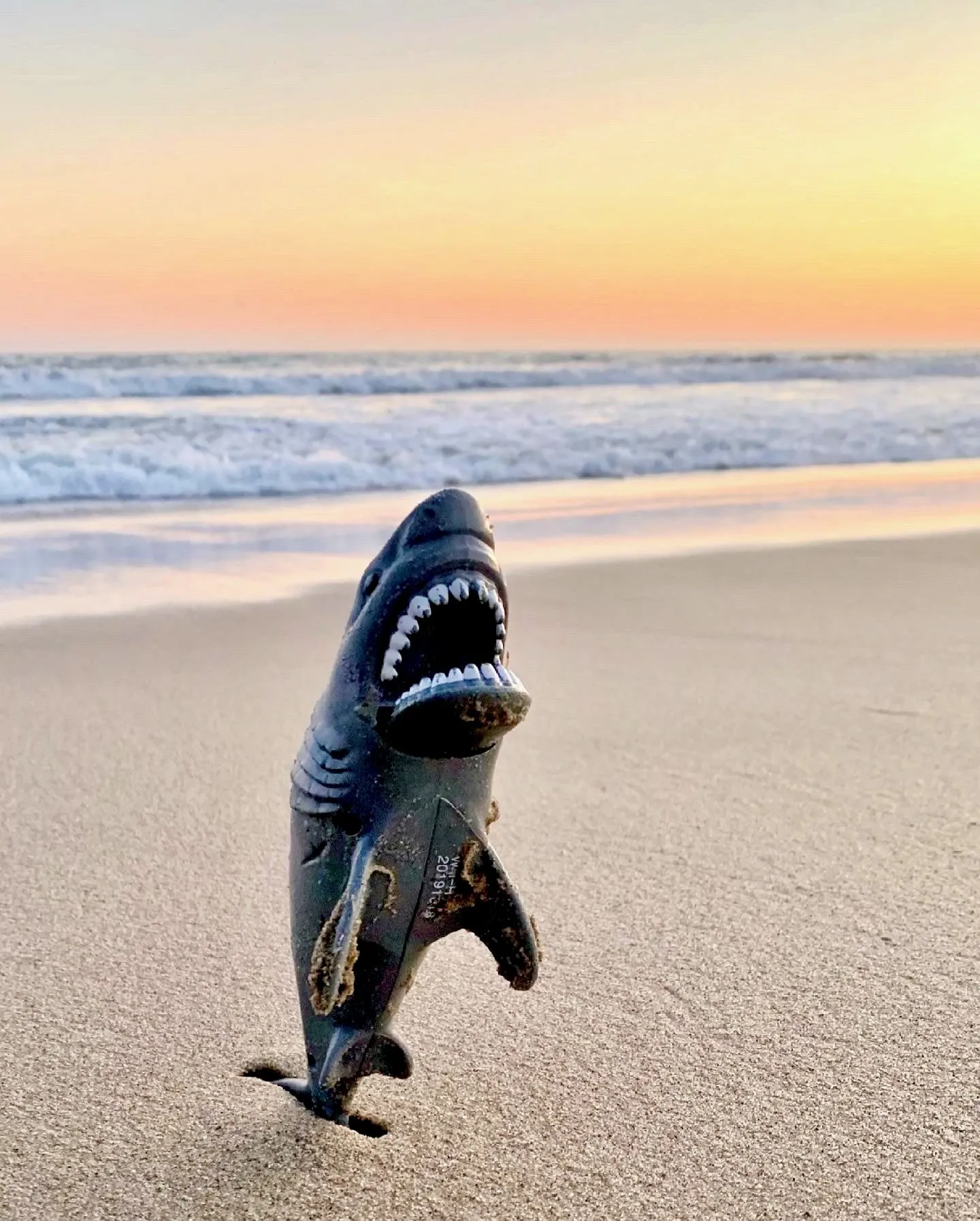 A toy shark standing upright in beach sand with its mouth open