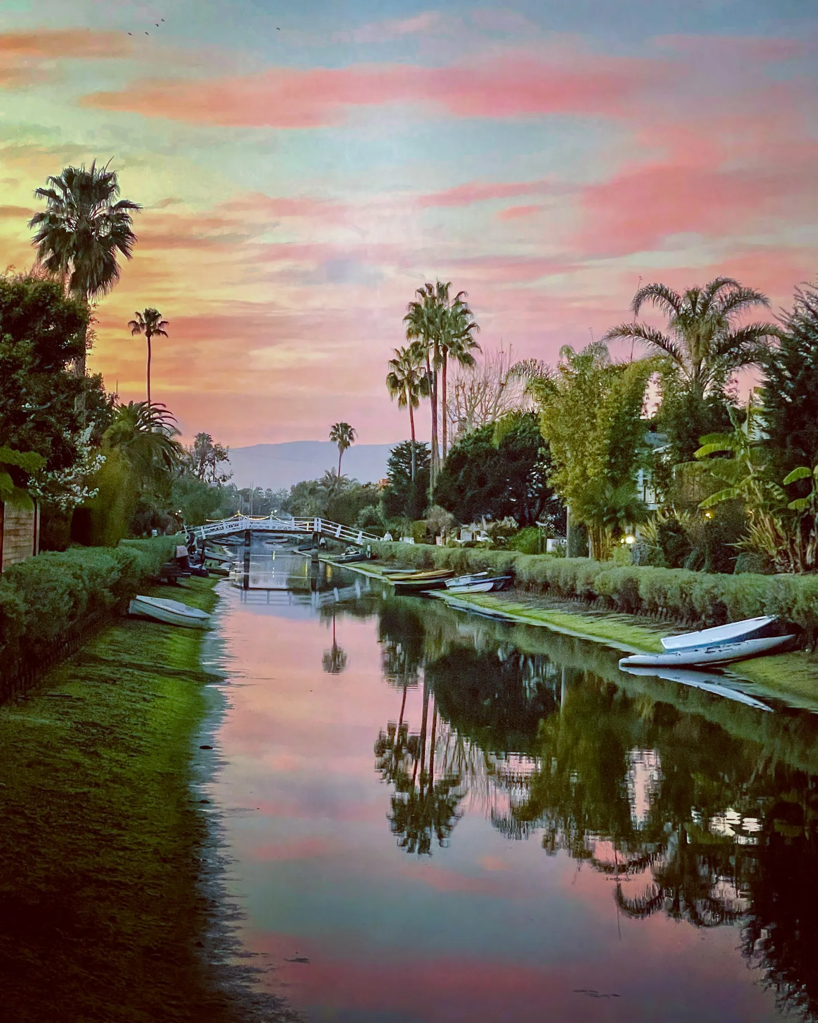 A canal, white footbridge and palm trees mirrored beneath a pink evening sky