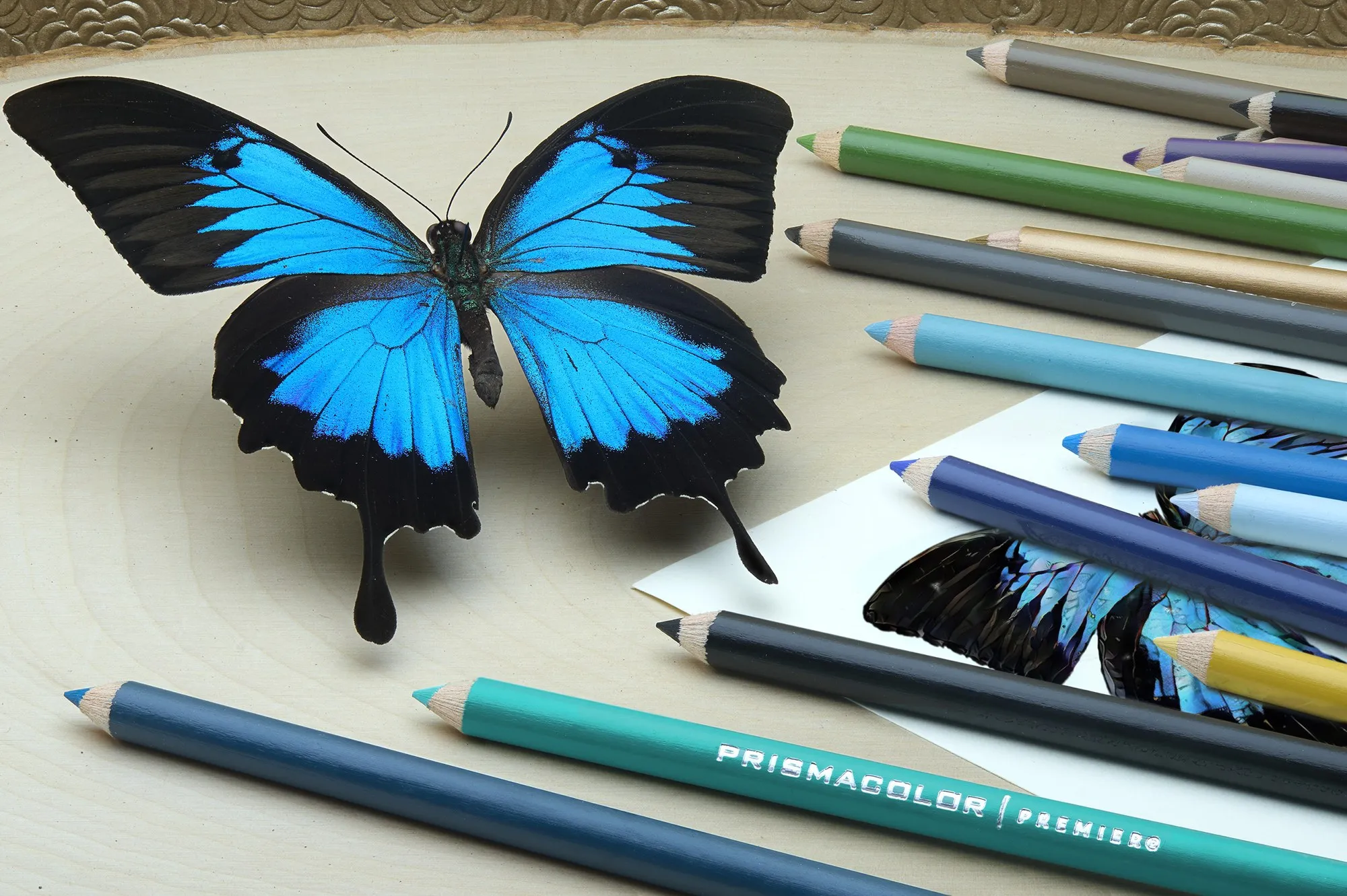A blue butterfly arranged with drawing pencils and art materials