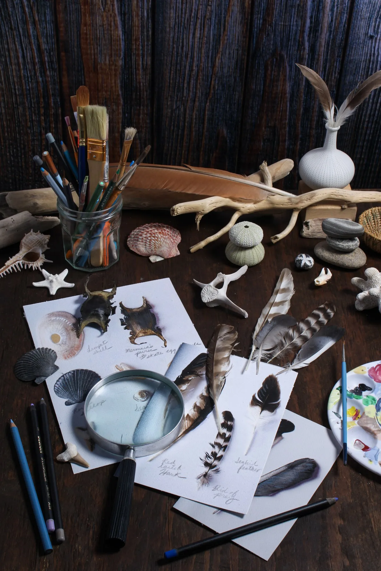 A tabletop arrangement of natural objects and drawing materials