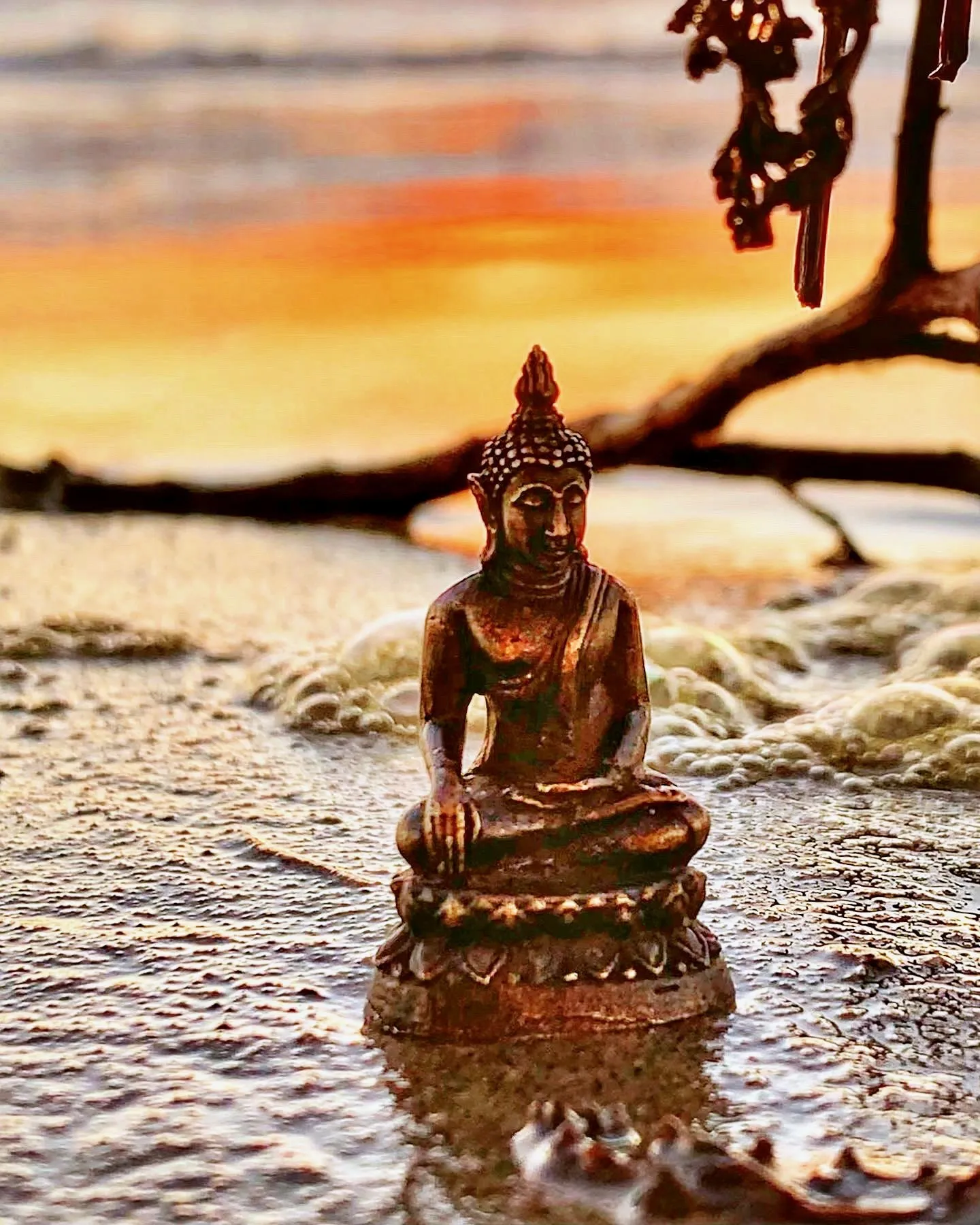 A small Buddha figure sits at the water’s edge in the last light of day.