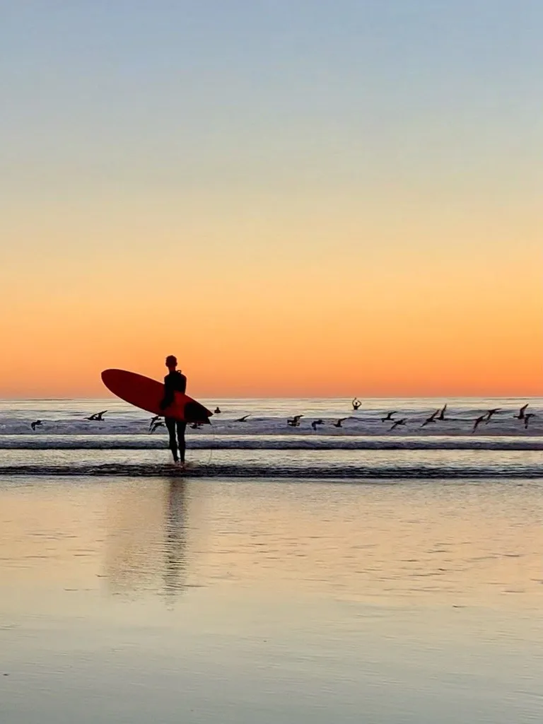 A surfer carries a board beside gentle waves at sunset.